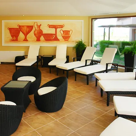 Vineyards - Panorama