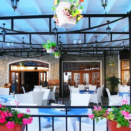 Vineyards - Panorama