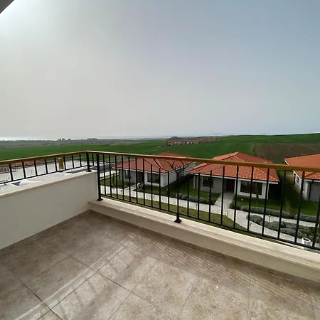 Vineyards - Panorama *