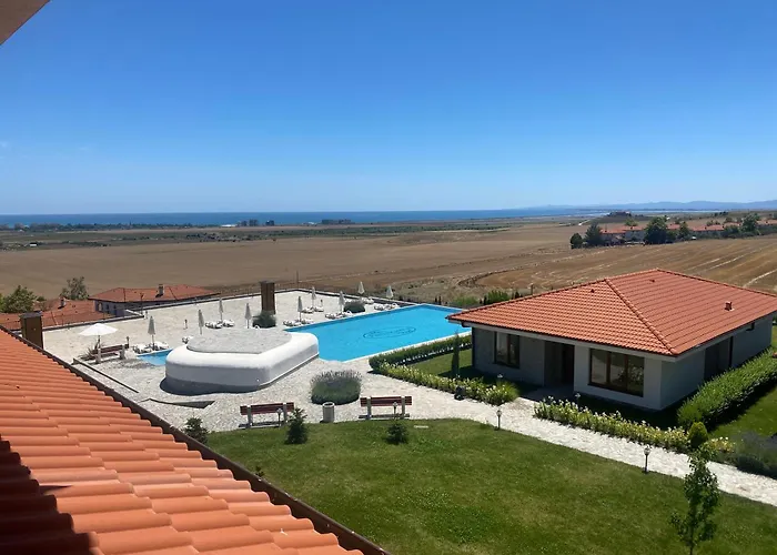 Vineyards - Panorama